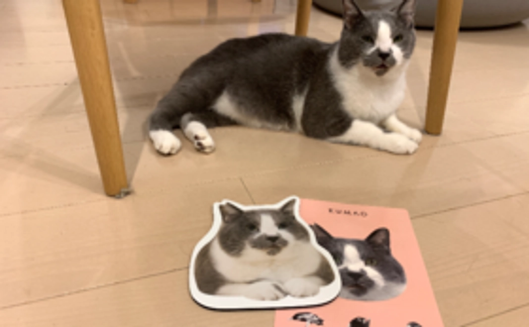 【チャリティーグッズ】くまおマウスパッド