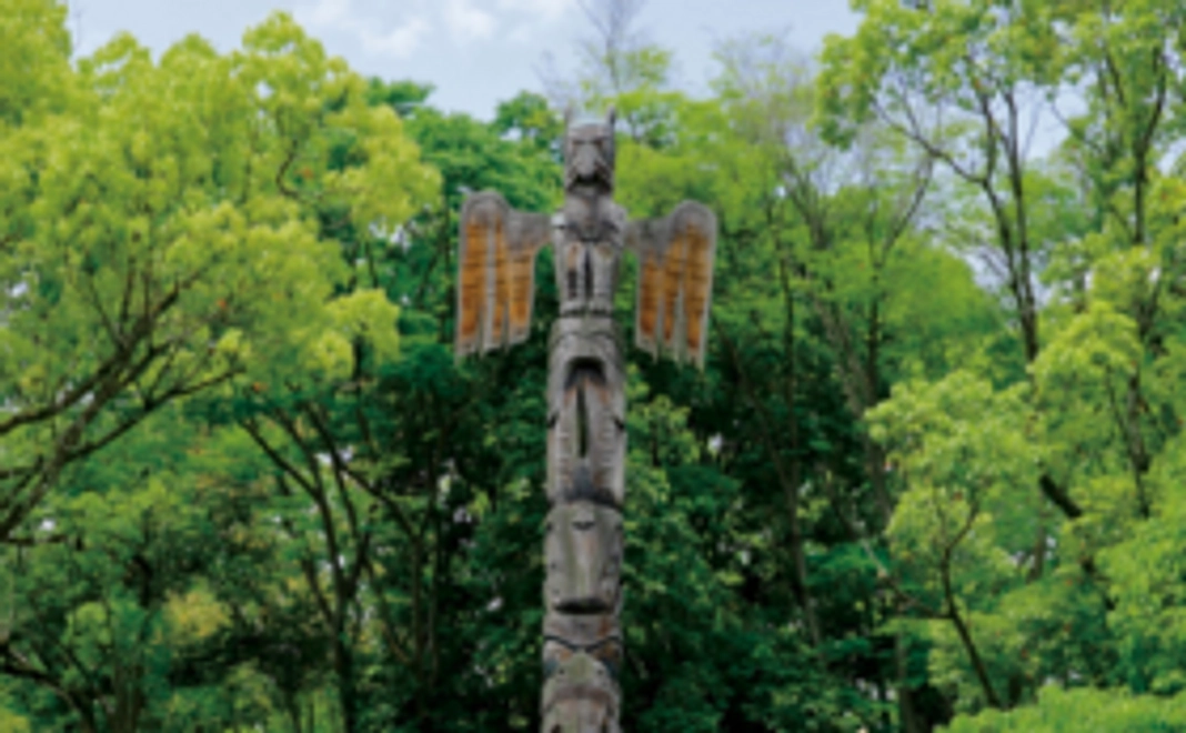 お気持ちコース