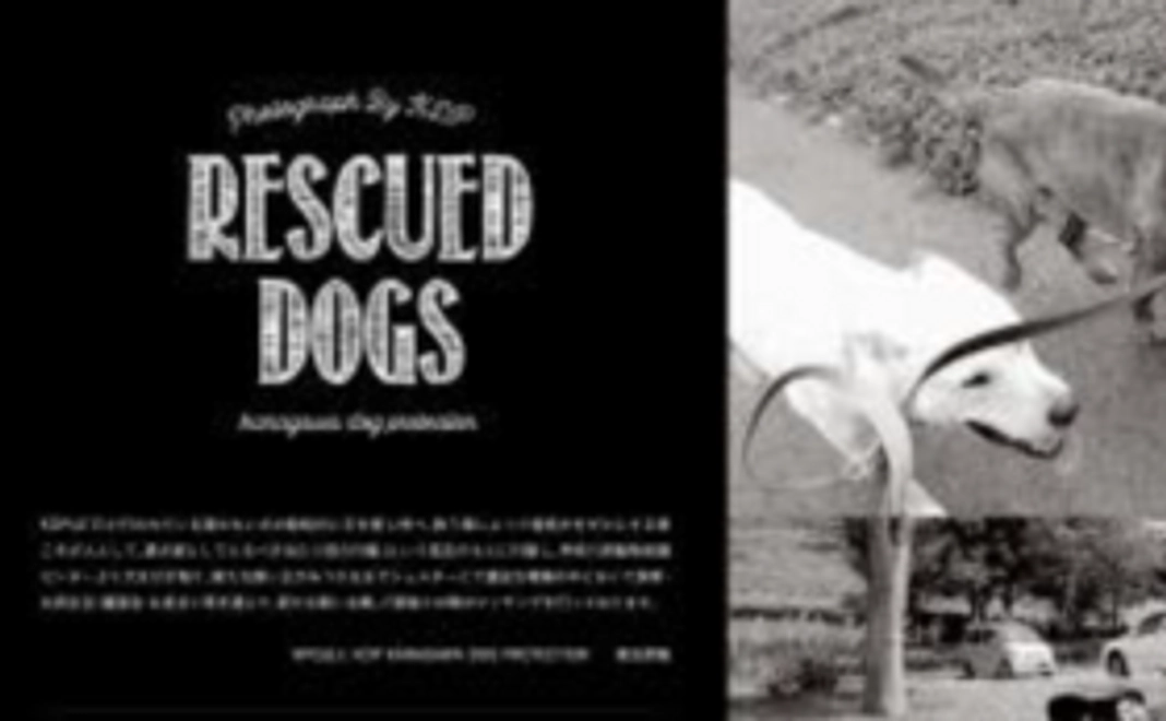 2020年KDPオリジナルカレンダー継続を応援!