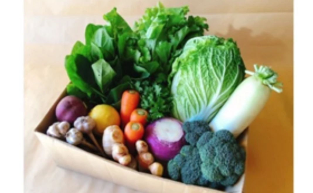 岩手町産お野菜セット