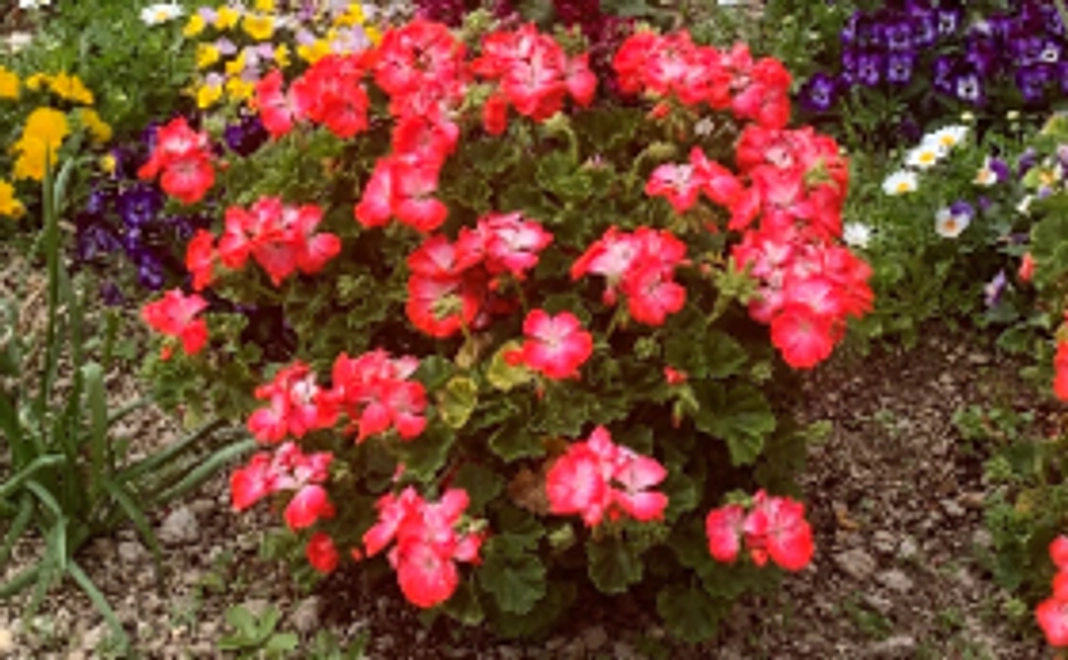 活動内容の報告メール