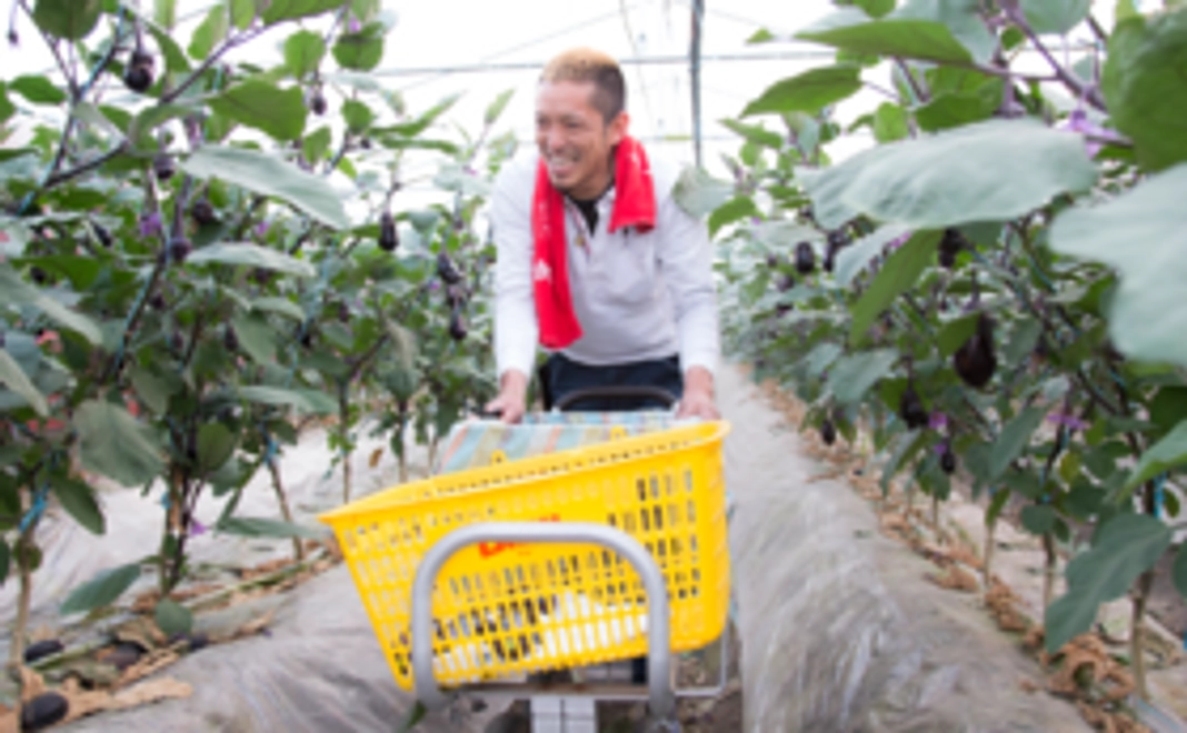 なす兄を応援！