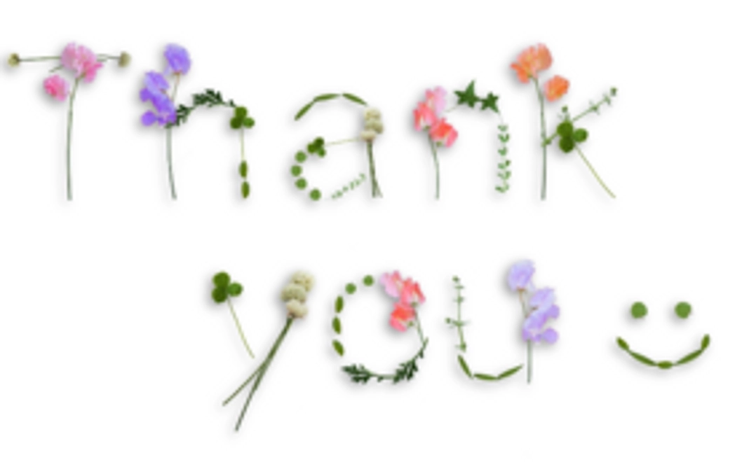 笑顔満開プラン