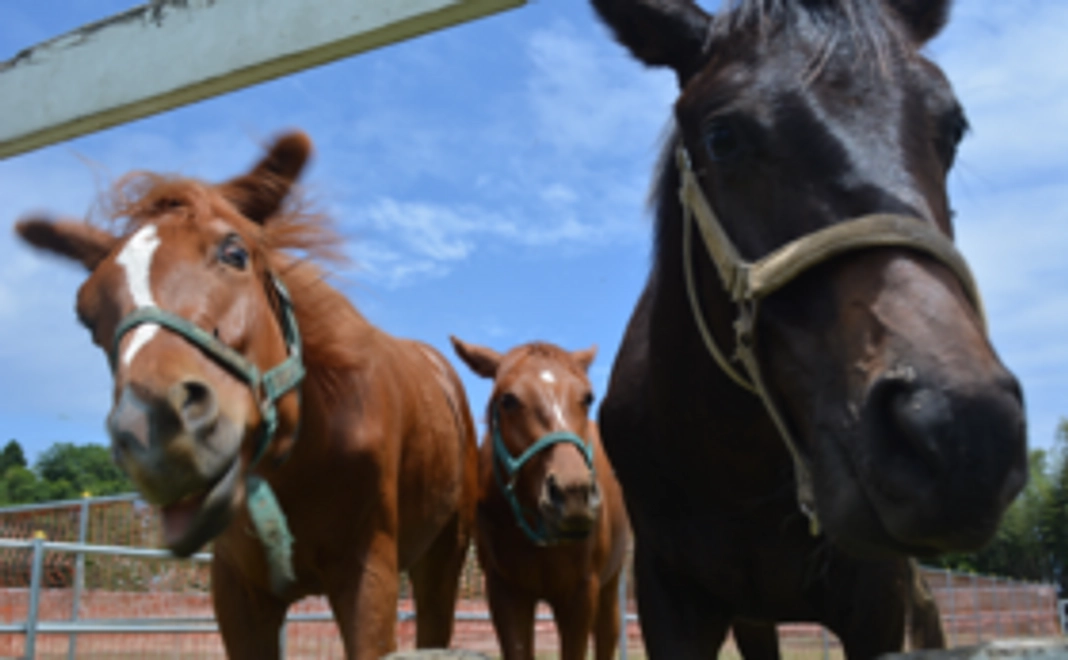 【高校生限定】お気持ち支援プラン