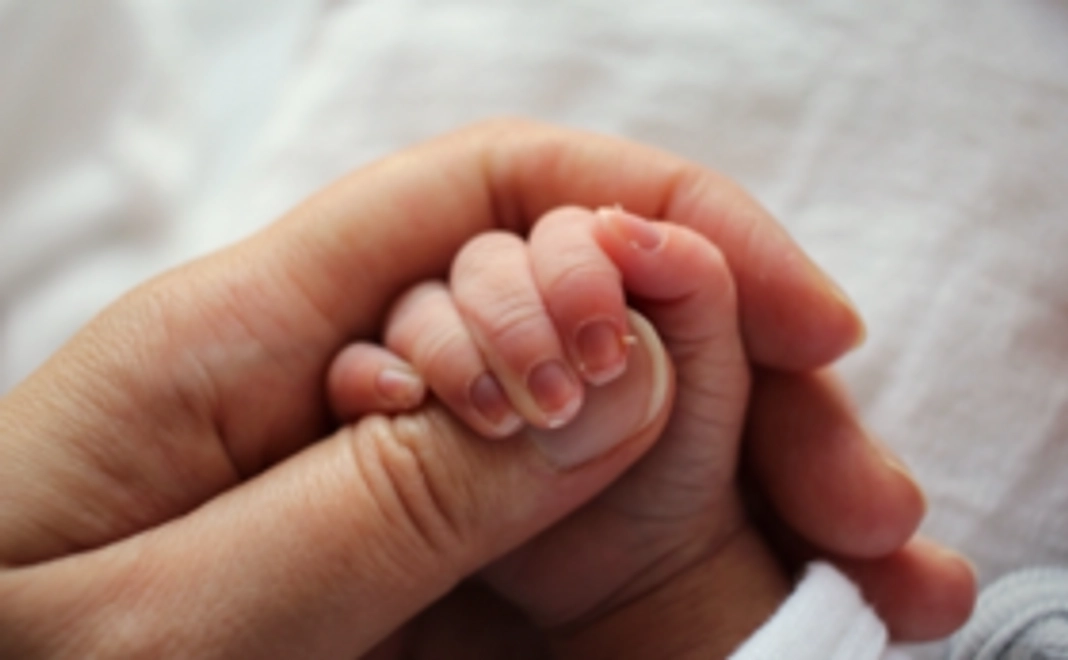 【お気持ちコース】