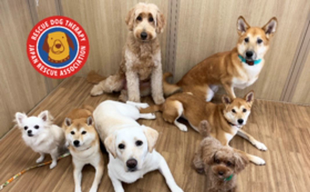 3,000円:応援コース