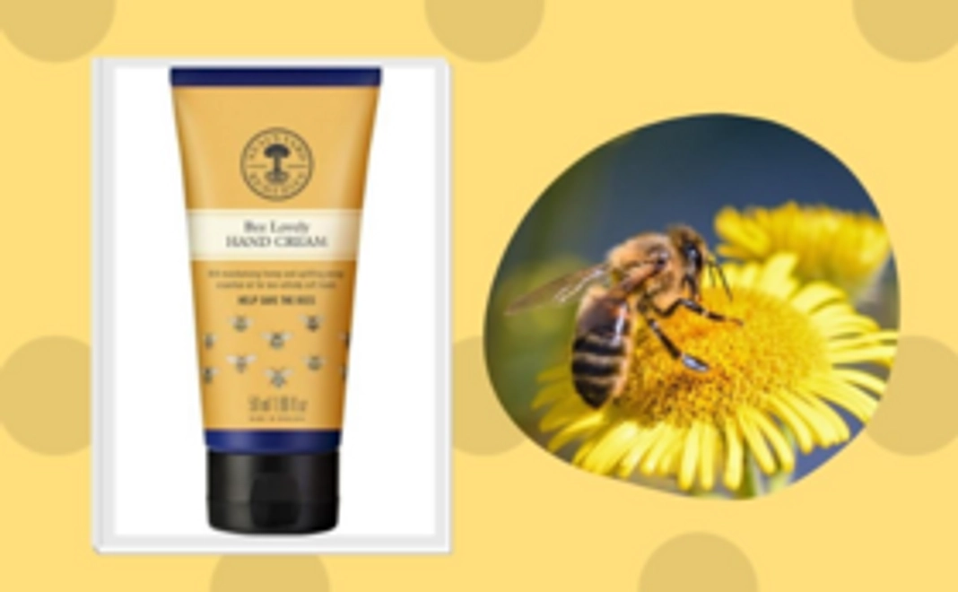 【数量限定 ドローダウン実践セット】本+ビーラブリーハンドクリーム