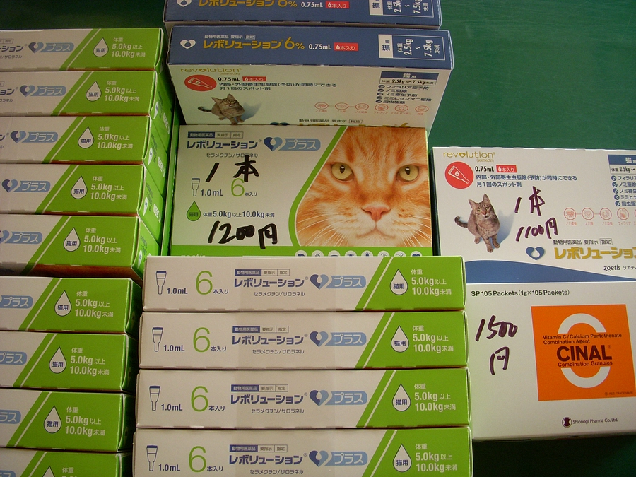 ﾚﾎﾞﾘｭｰｼｮﾝプラス１ｍｌ（体重５ｋｇ以上の猫用）入荷しました