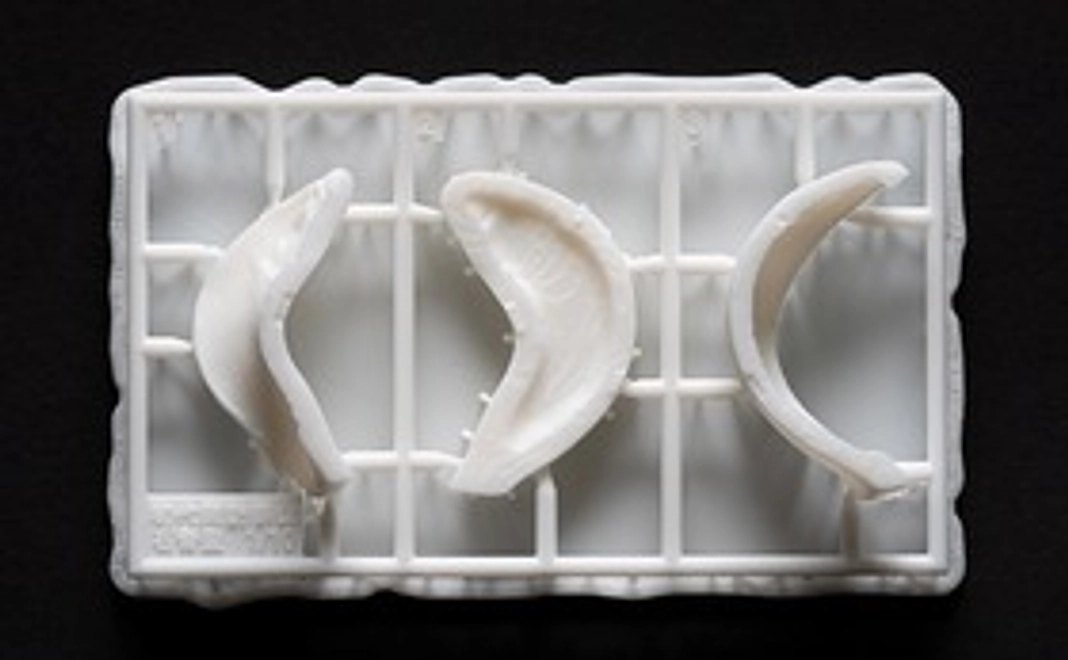 A|石膏型の3Dプリント縮小模型付き(鯉置物1/10 樹脂製)