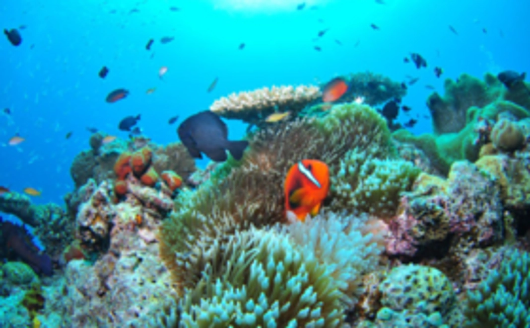 【お気持ちコース】