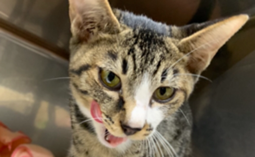 応援コース・5000円