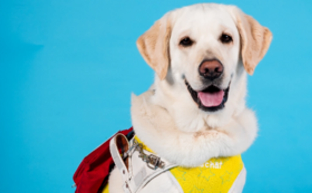 【応援コース】お礼メール