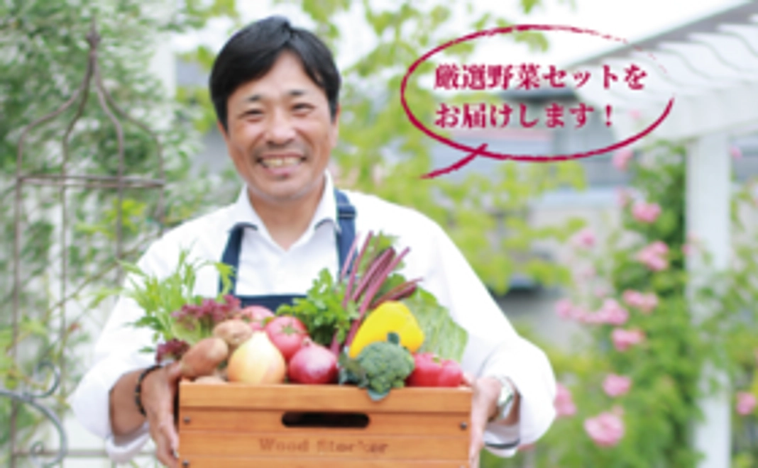 シェフ厳選・地場野菜セット