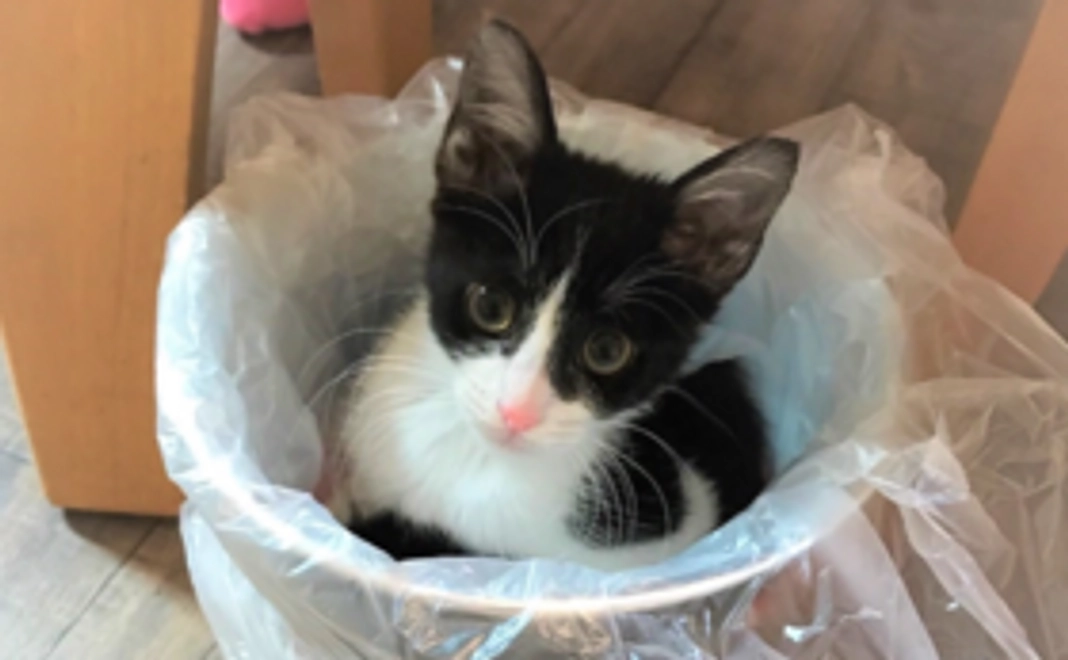 5０００円コース