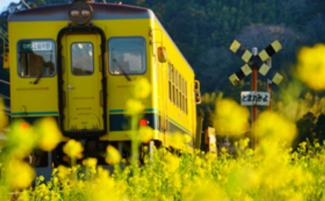 【乗って】応援コース