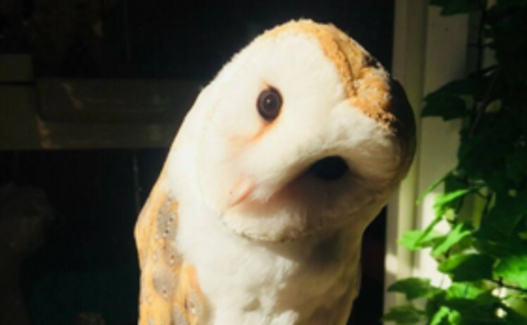 【お気持ちコース】