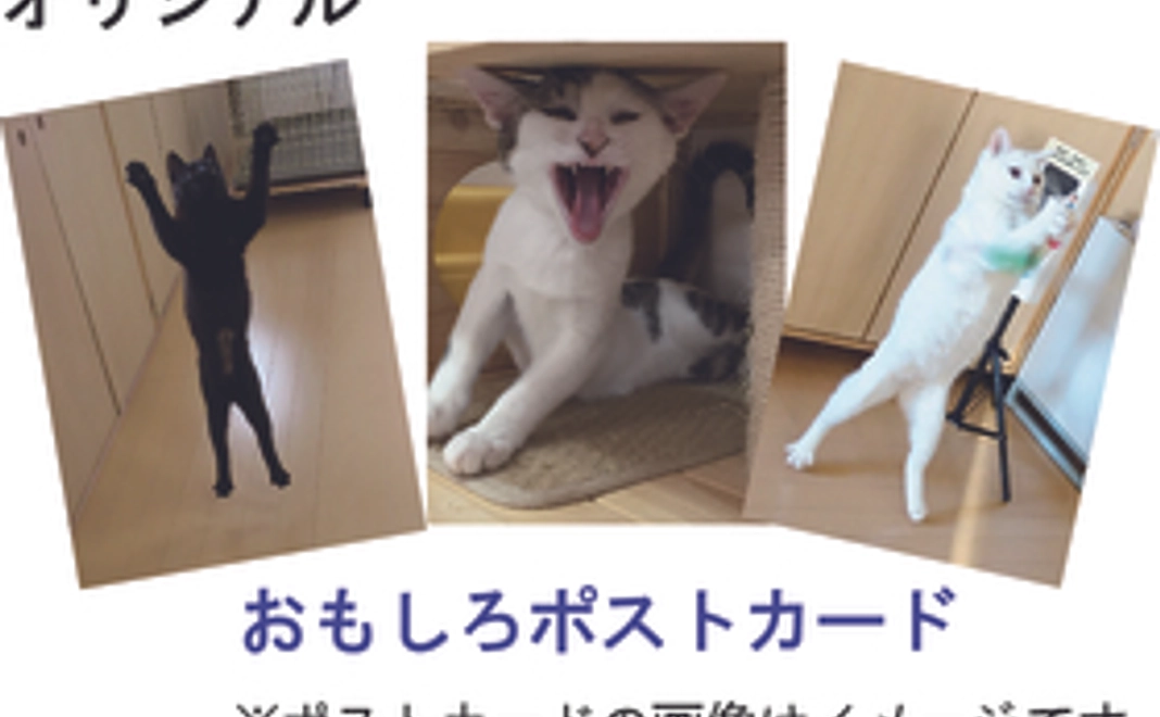 粉雪(こなゆき)コース