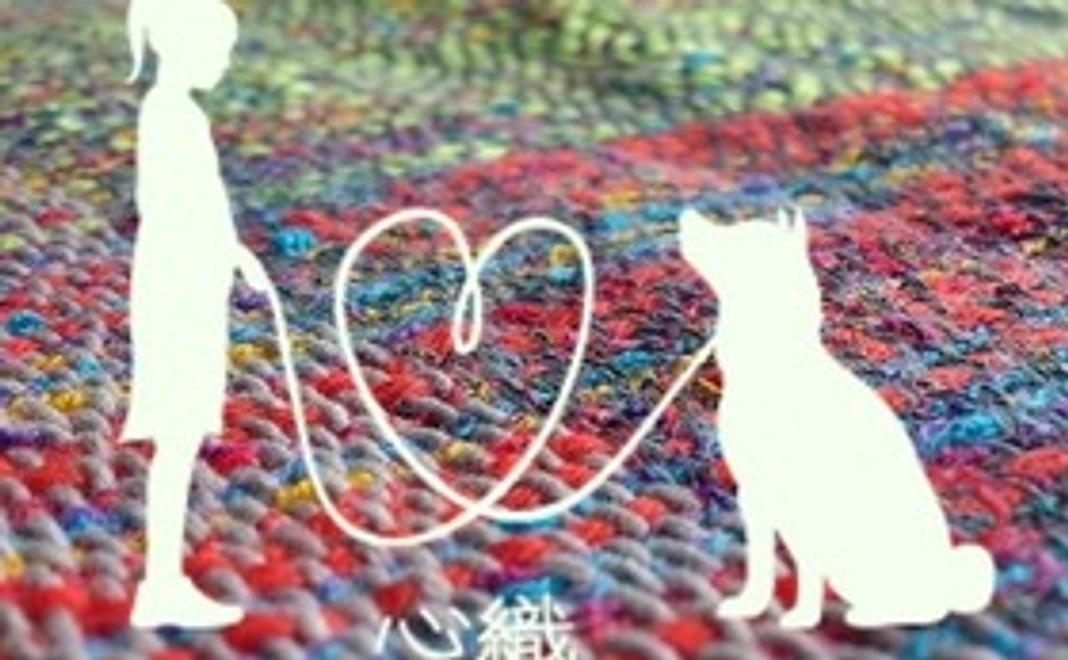 お気持ちコース