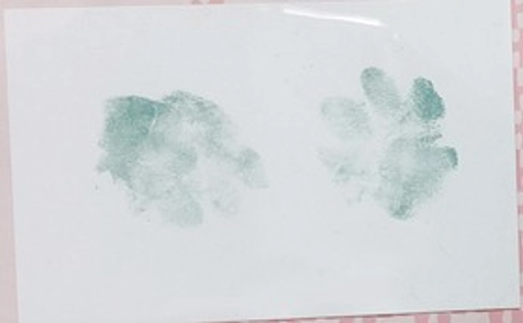 がんばれ「ももちゃん」コース