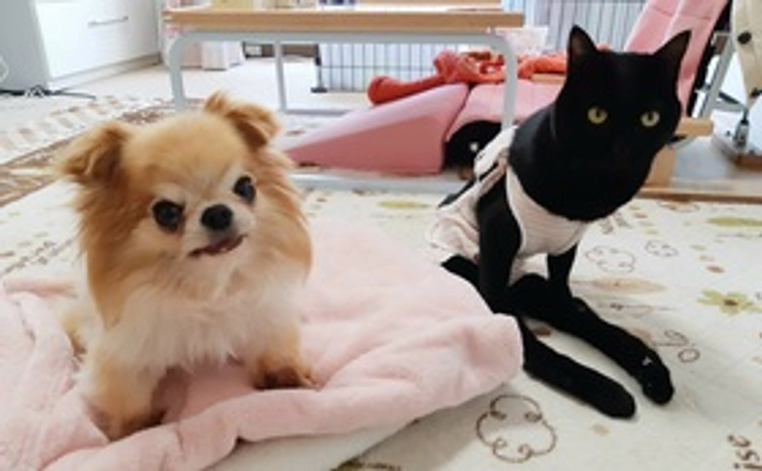 全力応援コース②