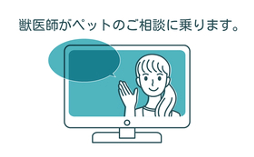 オンライン相談