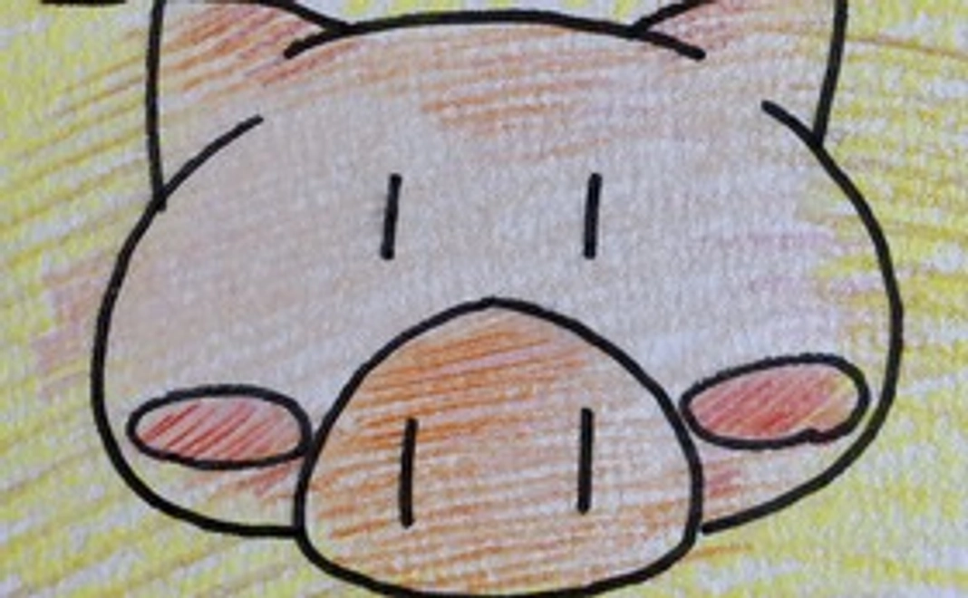 直筆お礼状ハガキ（半額券付き）＜3,000円＞