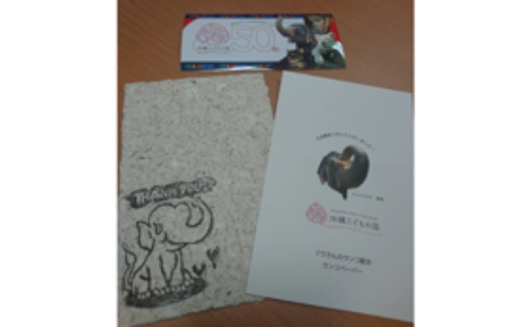 B6|ゾウのうんこペーパーとオリジナルステッカーコース