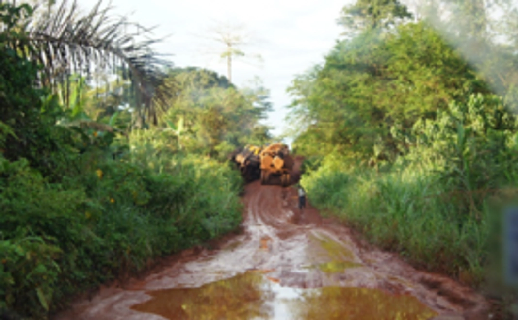 【野生動物を守る仲間!】密着フォローコース