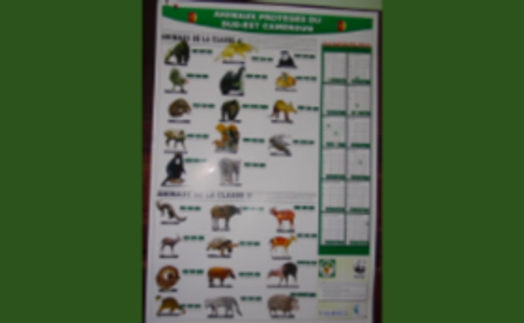 【野生動物を守る仲間】感謝を込めてHPにお名前掲載