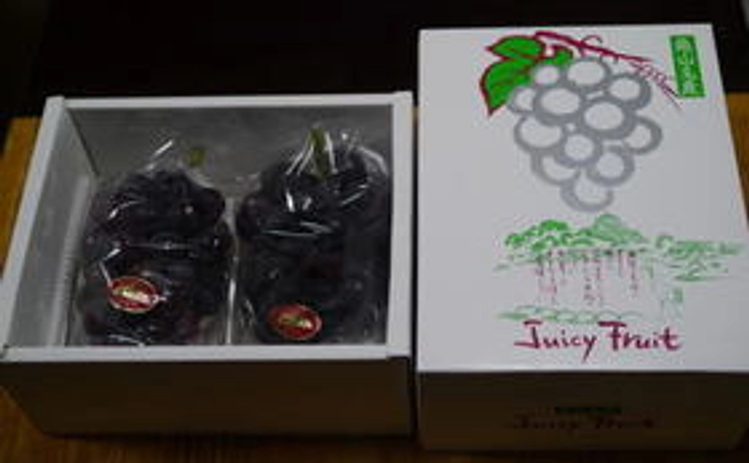 村松葡萄園ニューピオーネ１箱（２㎏）