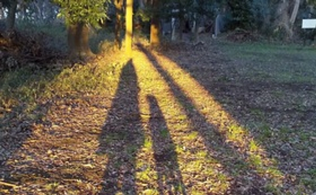 街づくり応援コース3,000円