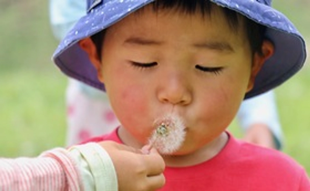 フォトカード（ハガキサイズ）をプレゼント