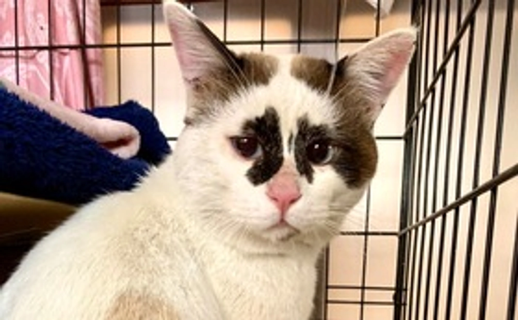 【お気持ち】3千円コース