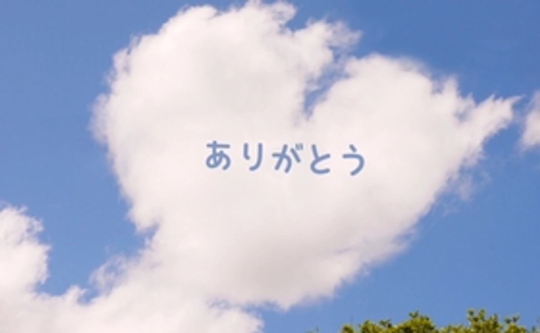 【福井県内外の方向け】全力応援 5,000円コース