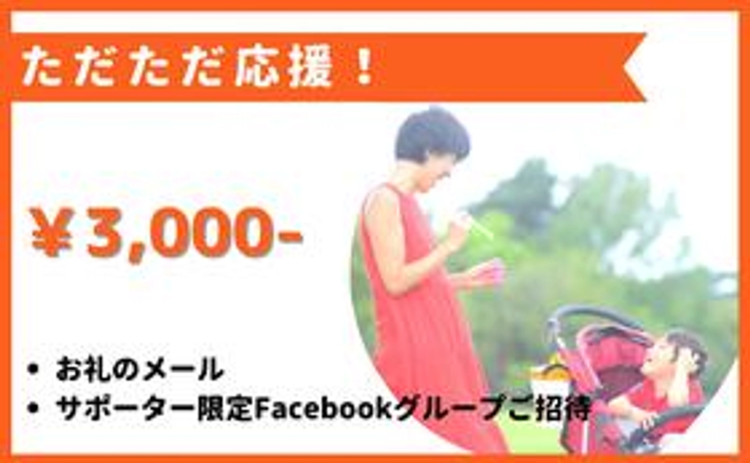 ただただ応援！プラン