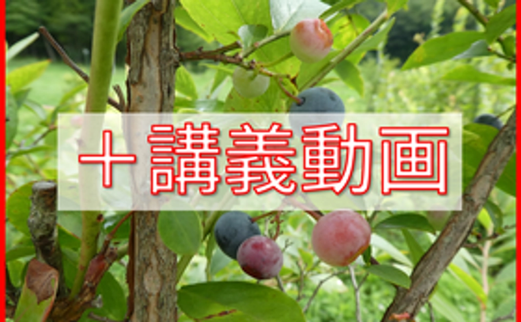 10,000円|講義動画で学んで応援コース