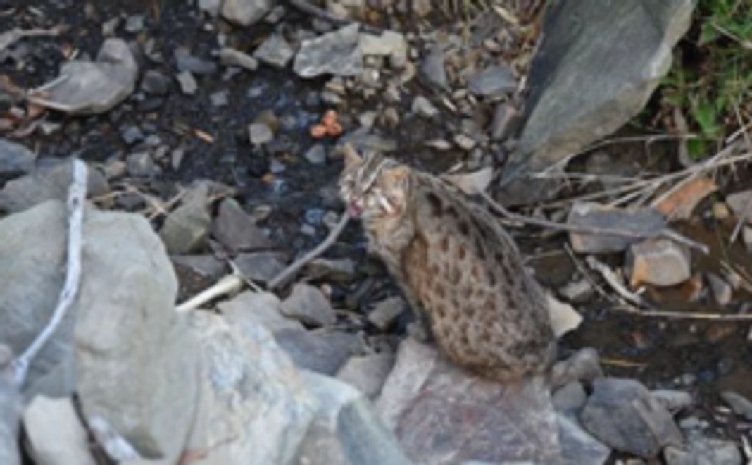 お気持ちコース：3千円