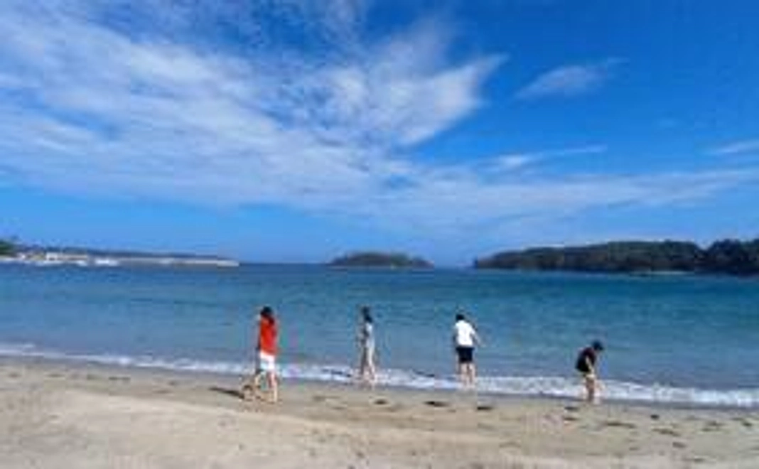 とにかく応援コース