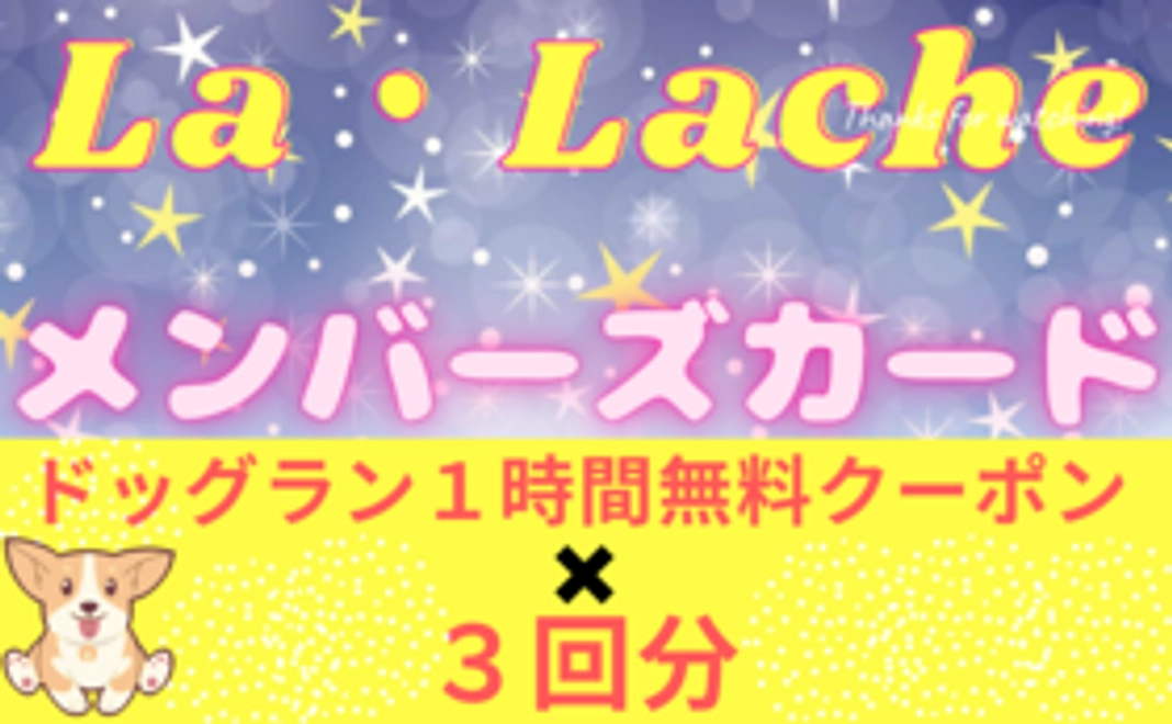 １００００円コース