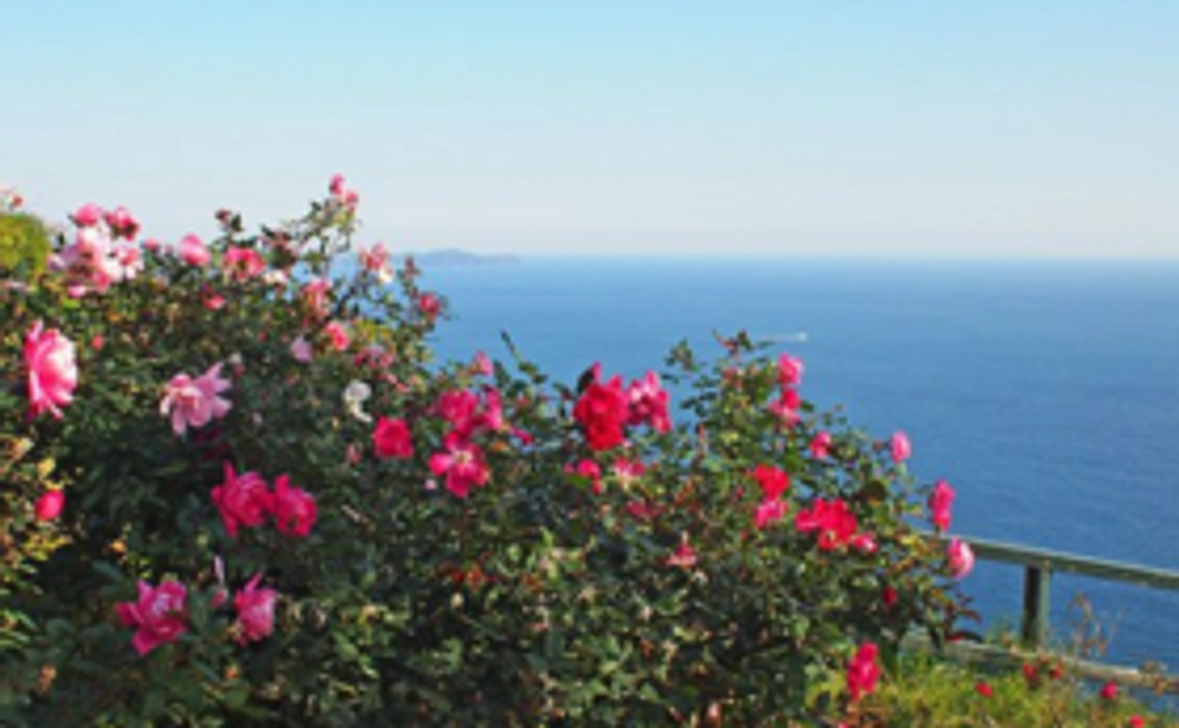 熱海のお土産Aコース