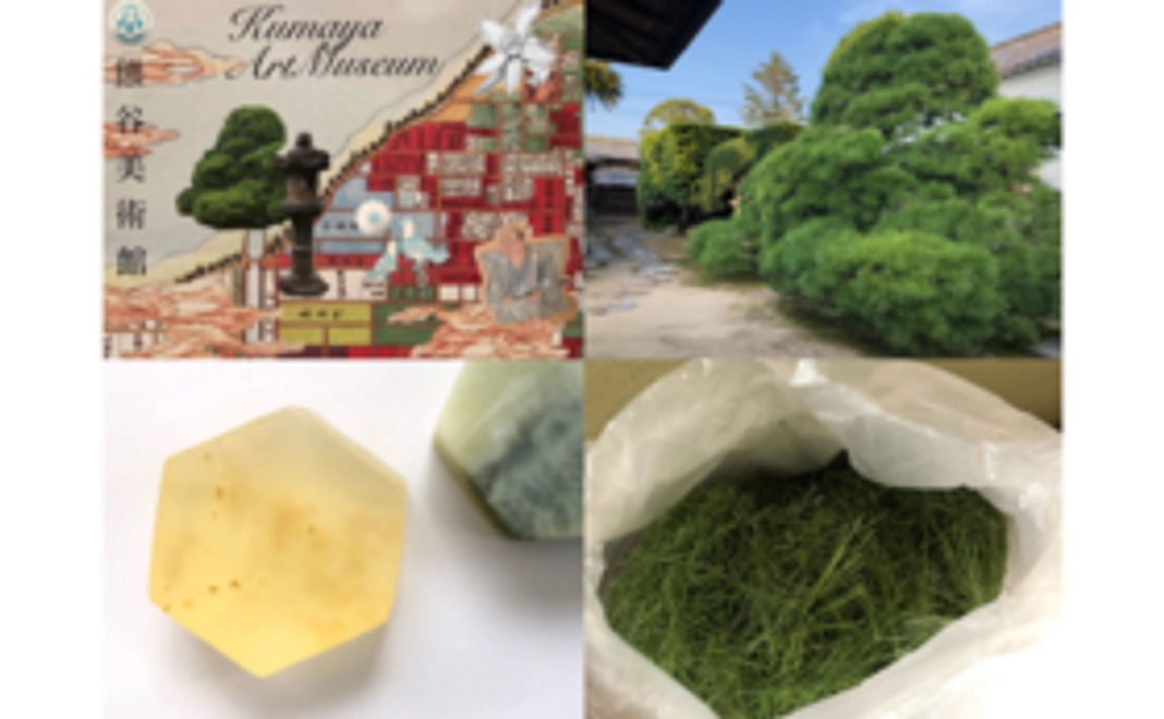 B｜熊谷美術館限定パッケージ石鹸＋樹齢300年の松葉茶