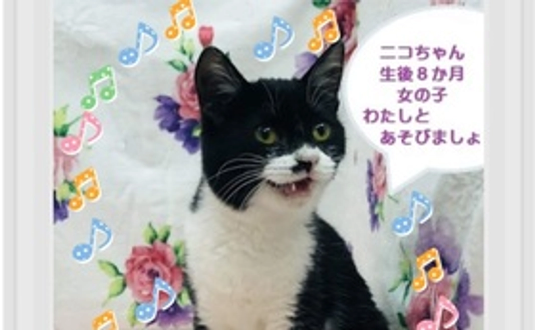 【リターンなし】 幸せ全力応援コース1万円