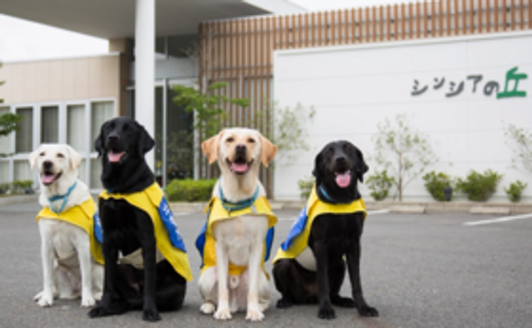 【寄贈】日本介助犬協会様へおやつの寄贈【2000円分】