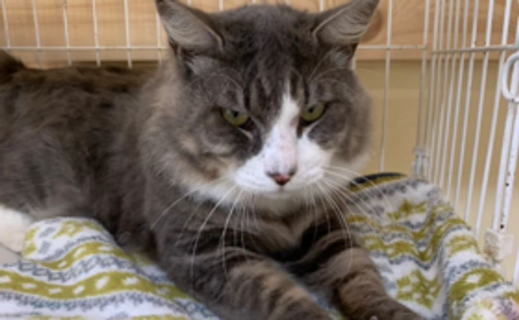 お気持ちコース：3千円