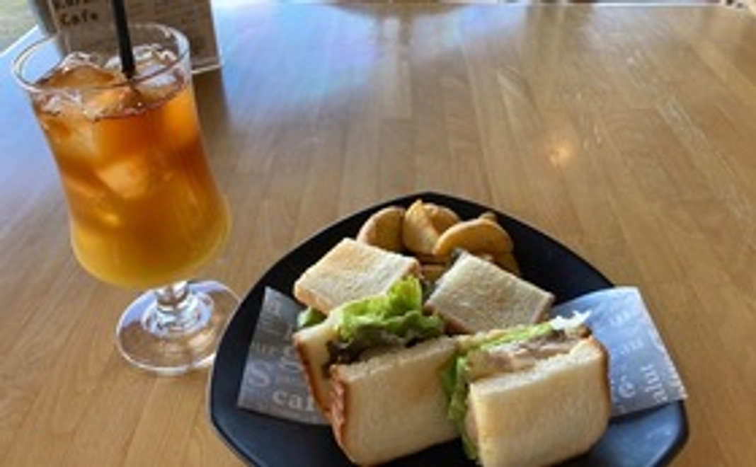 第1回:2022年3月26日(土)無料ゲーム体験会(サンドイッチ&ソフトドリンク付):烏川カフェ(群馬県高崎市)