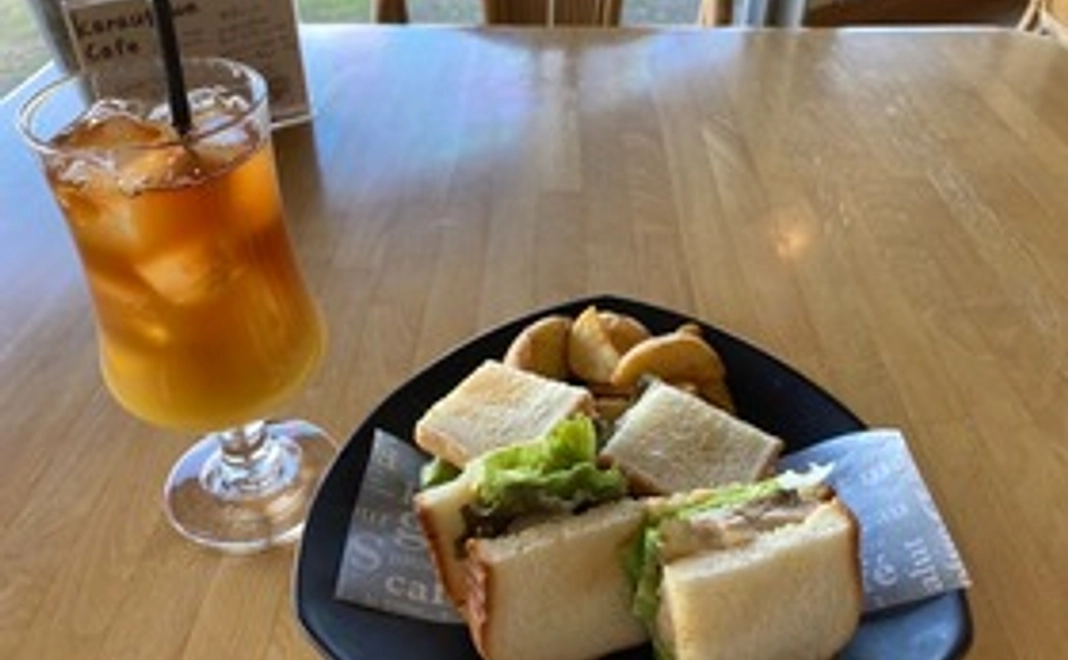 第2回:2022年4月9日(土)無料ゲーム体験会(サンドイッチ&ソフトドリンク付):烏川カフェ(群馬県高崎市)