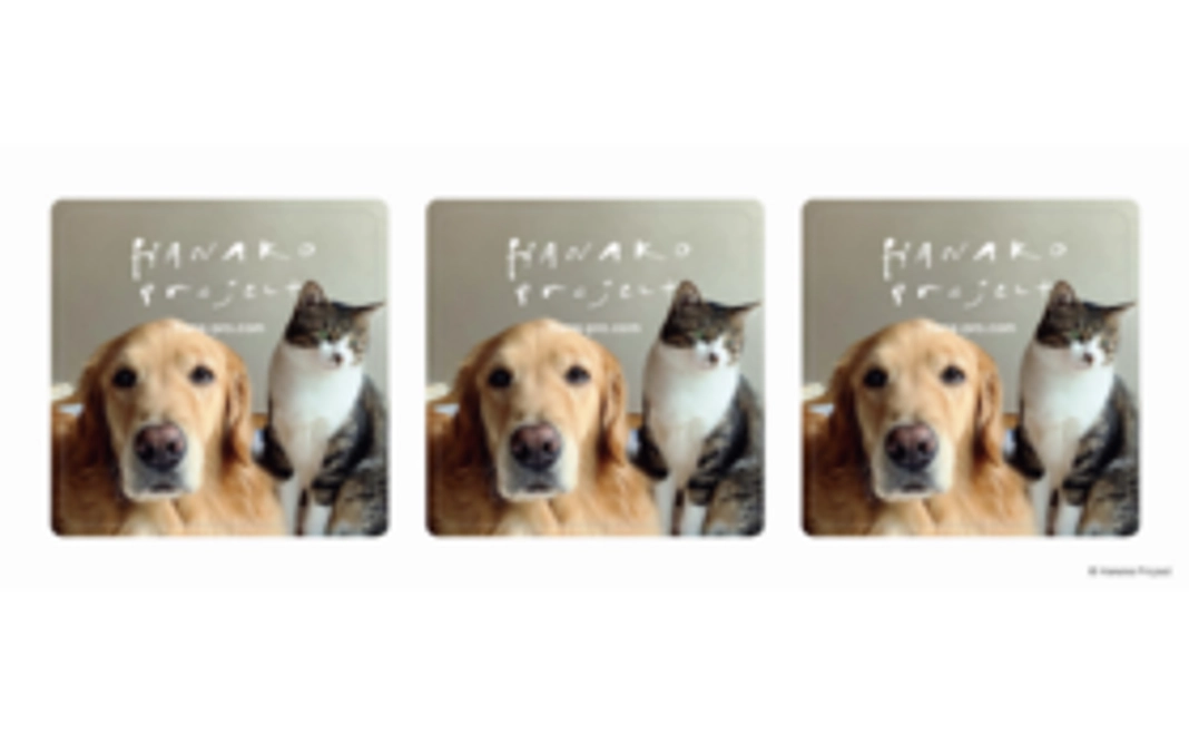 【感謝を込めて】ゆりごろう王国シール 4枚コース