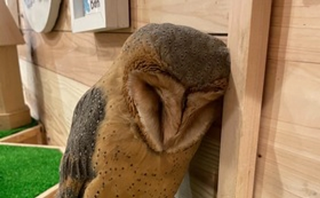 【リターン有】体験で応援!Aコース