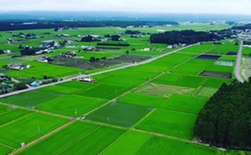 豪華なリターンは不要な方向け/5千円）応援！