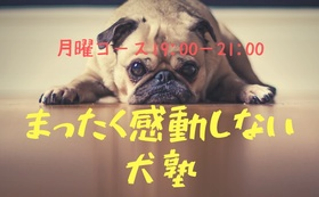 2022年 4/11スタート 月曜コース